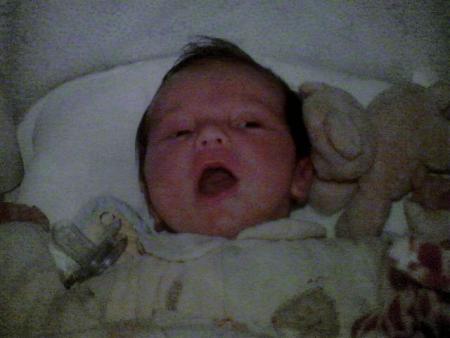 voici elsa