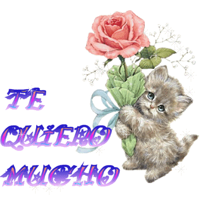 pour toi mon bb
