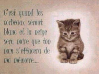 je t'aime mon coeur